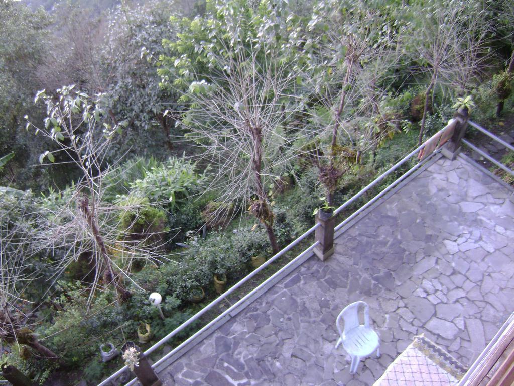 Deolo Cliff Eco Resort Kalimpong Kültér fotó